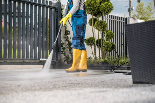Best Deck Pressure Washing  in Ladera Heights, CA