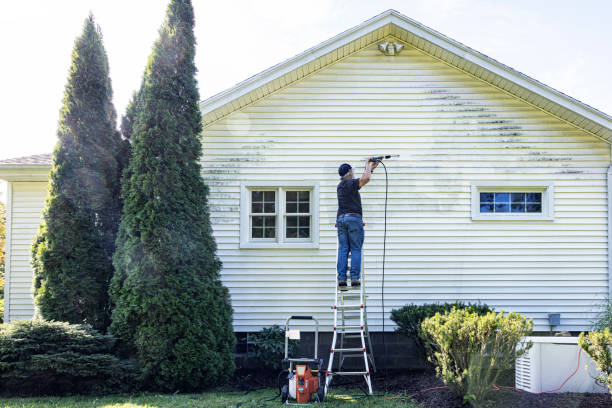 Best Pressure Washing Estimates  in Ladera Heights, CA