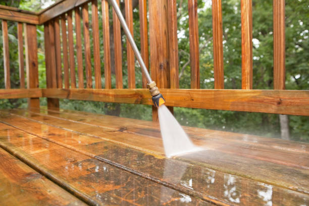 Best Roof Power Washing Services  in Ladera Heights, CA