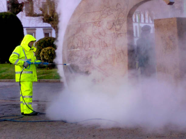 Best Pressure Washing Driveway  in Ladera Heights, CA