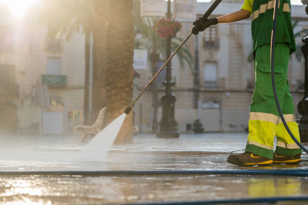 Best Residential Pressure Washing Services  in Ladera Heights, CA