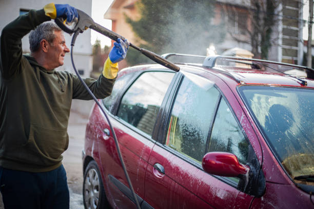 Best Fence Pressure Washing  in Ladera Heights, CA